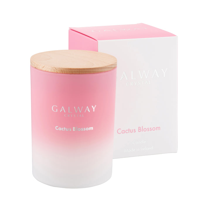 Galway Living Cactus Blossom Candle