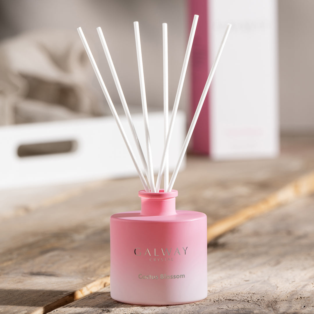 Galway Crystal Cactus Blossom Diffuser