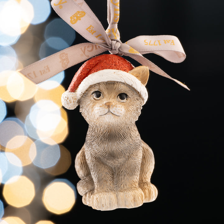 Aynsley Christmas Kitten Hanging Ornament