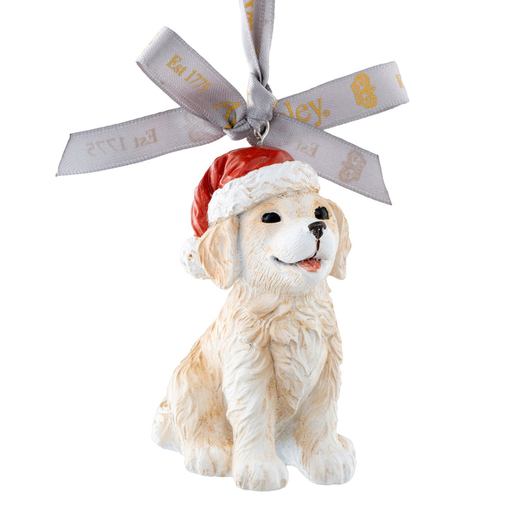 Aynsley Christmas Puppy Hanging Ornament