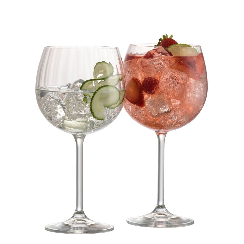 Erne Gin Tonic Pair