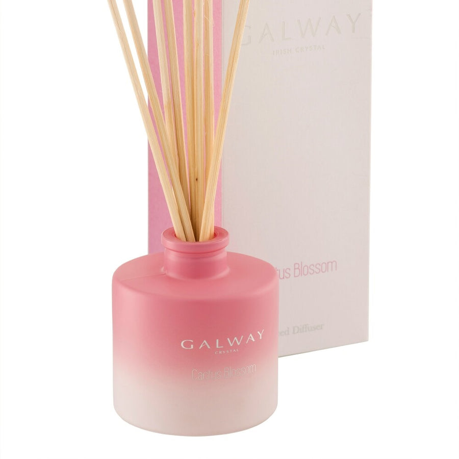 Galway-Crystal-Cactus-Blossom-Diffuser
